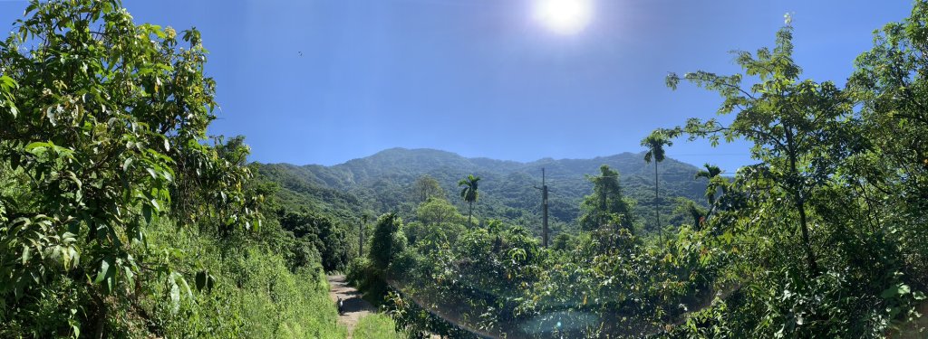 20240706屏東三地山西南峰封面圖