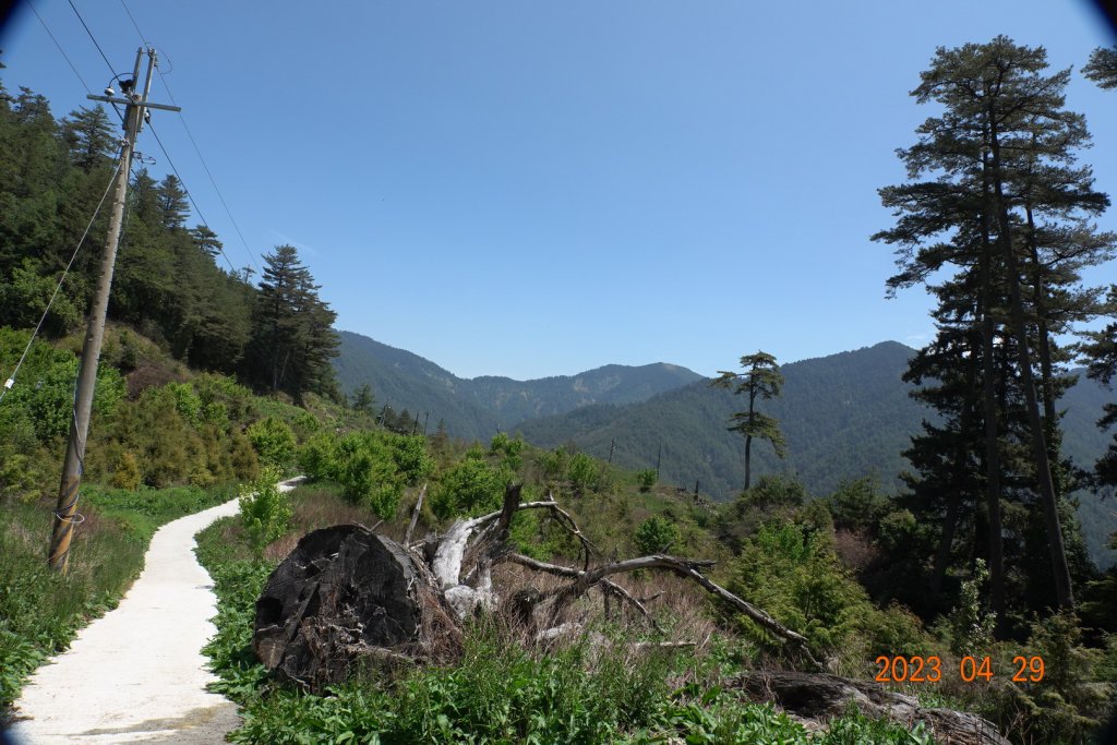 南投 仁愛 武法奈尾山_2133708