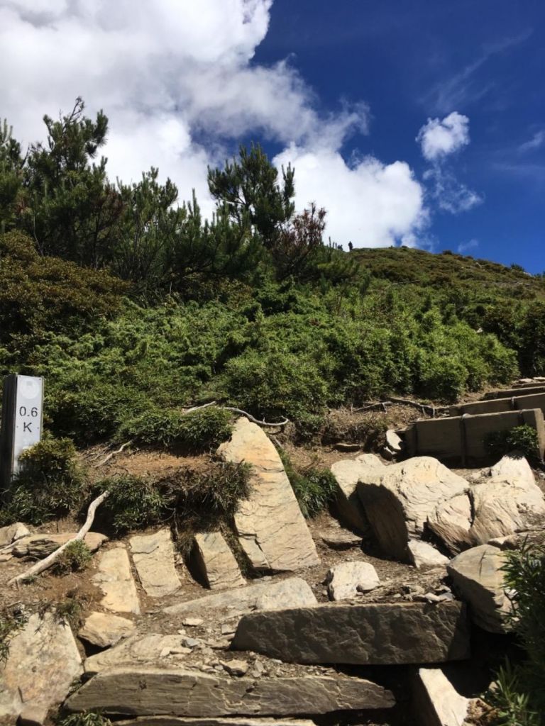 20180804-合歡山北峰_377167
