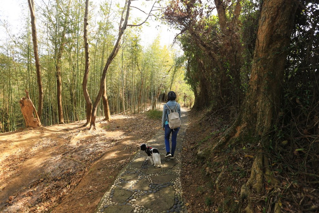 2023_0219 后里鳳凰山觀音山O走_2039805