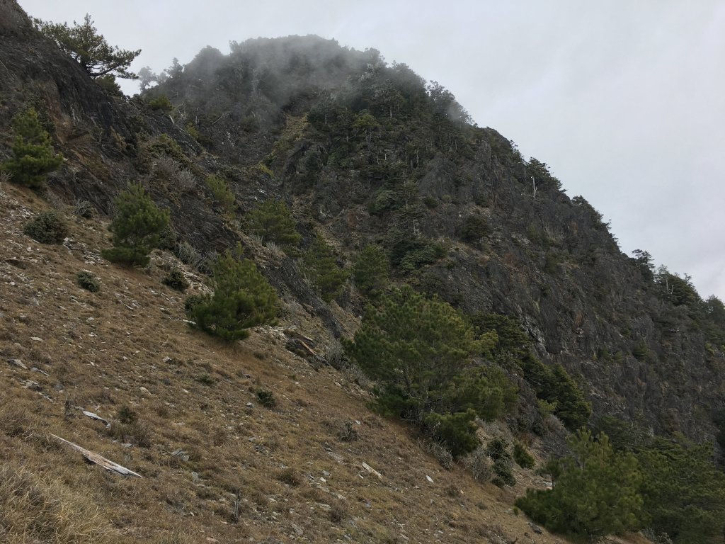 八通關山、八通關山西峰、秀姑巒山_526184