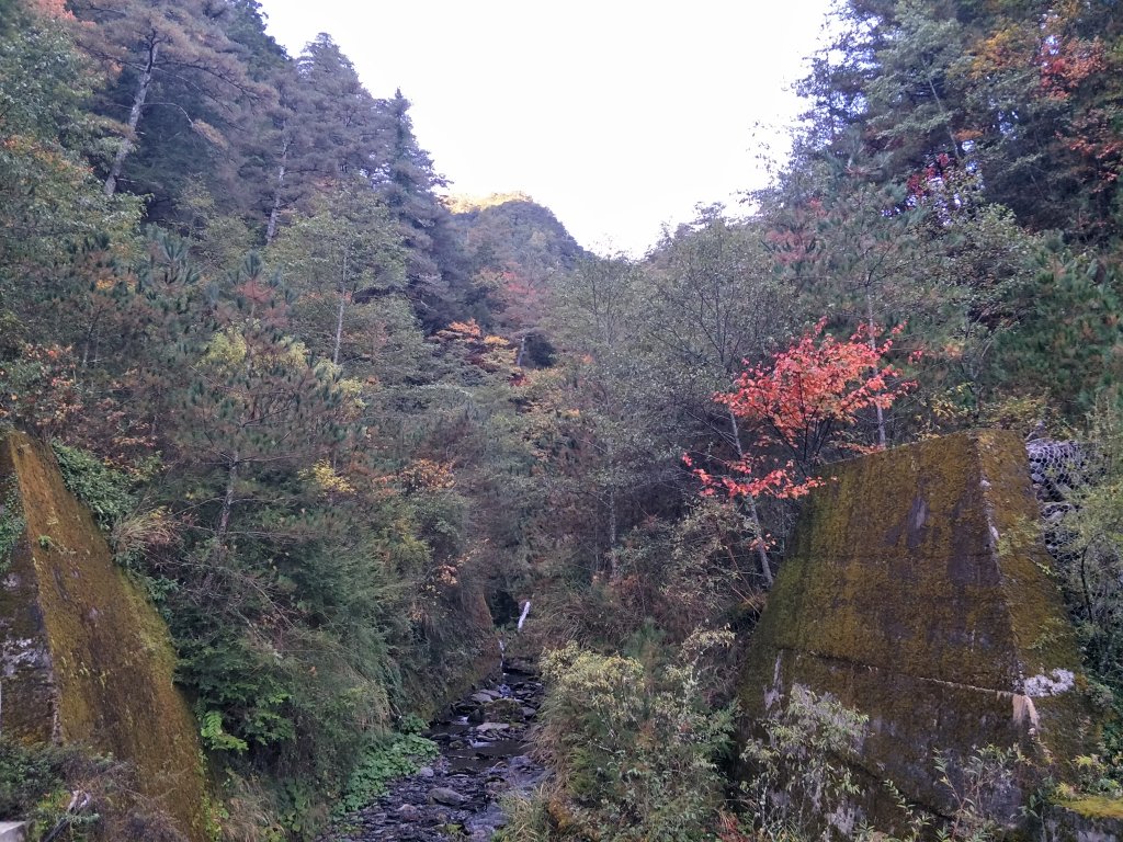 2019 1121 - 24 大小劍山_753701