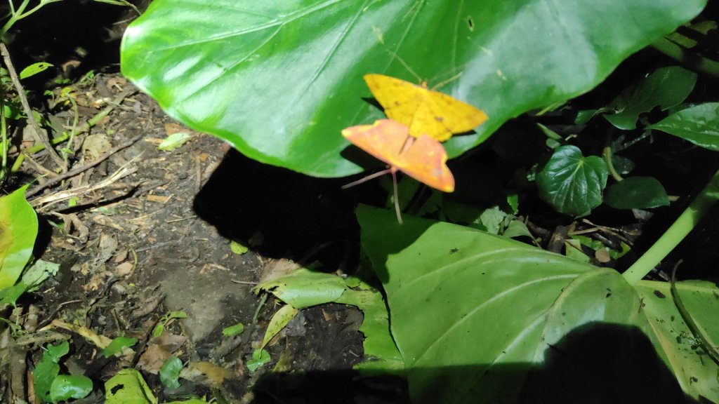 蘭嶼紅頭山_2492898