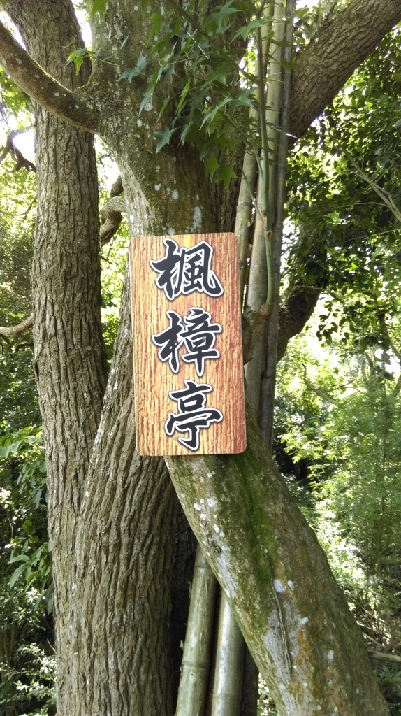 鳶山-福德坑山 105.06.24_50411