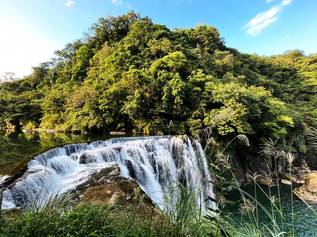 愛在秋芒紛飛時...五分山_2353575