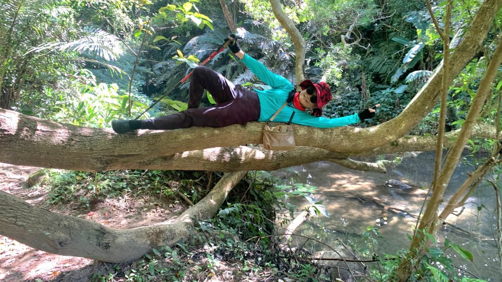 打鐵寮古道連爬白石山_1898599