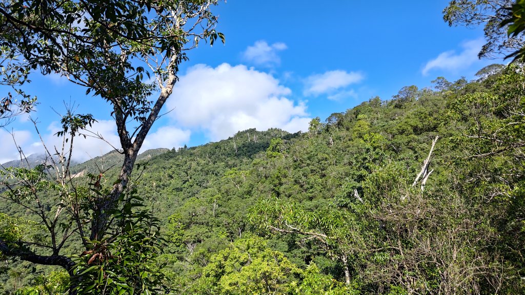 棲松縱走未竟_2918310