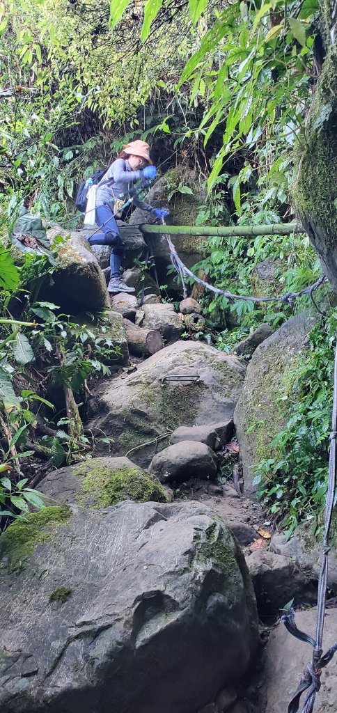 2023-11-25溪頭鳳凰山步道_2360959