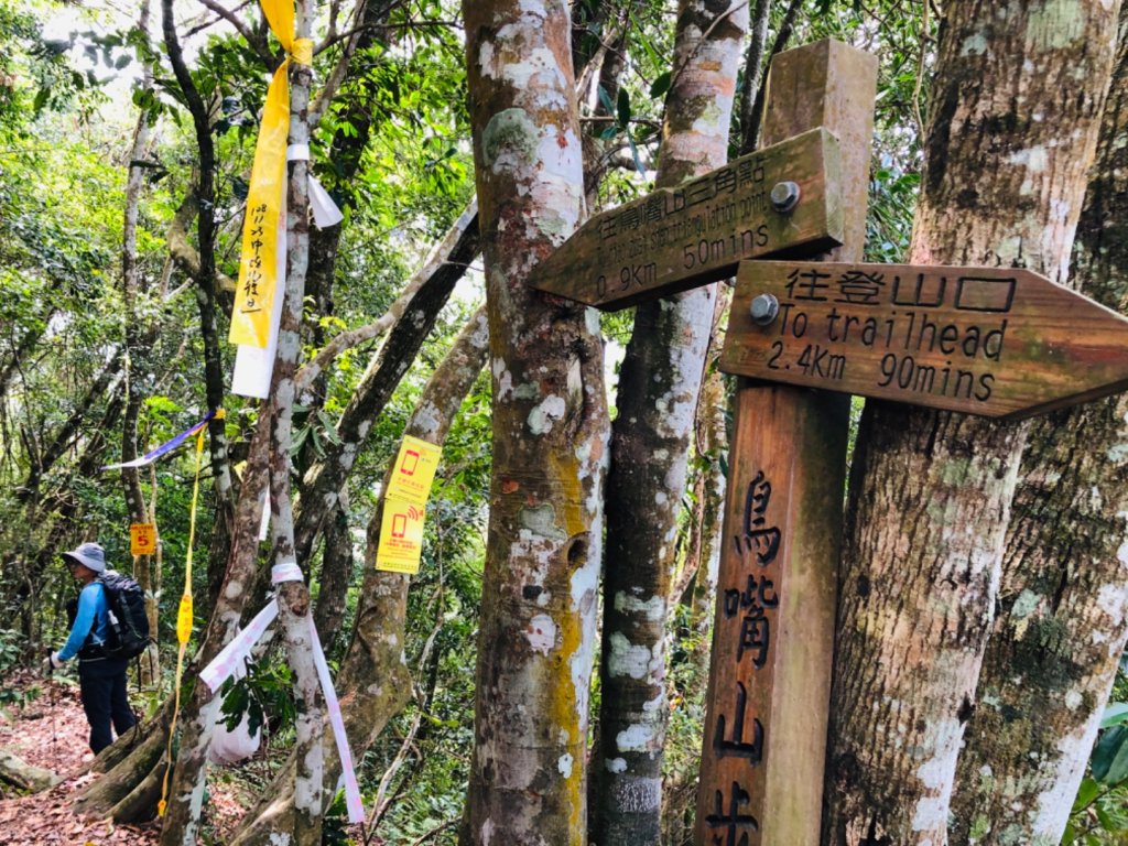 1090307上島山_870966