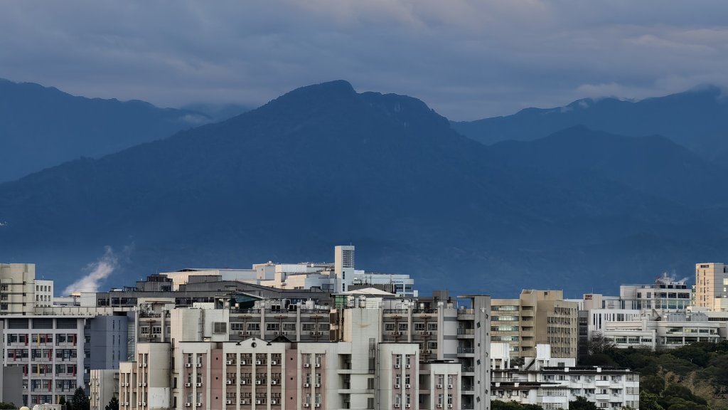 【蛇年走春】新竹清交、櫻花嶺、落羽松_2706058