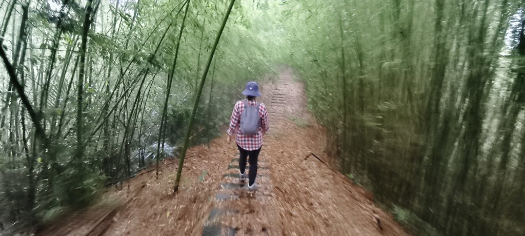 2025/04/25_苗栗鐘樓古道_2771179