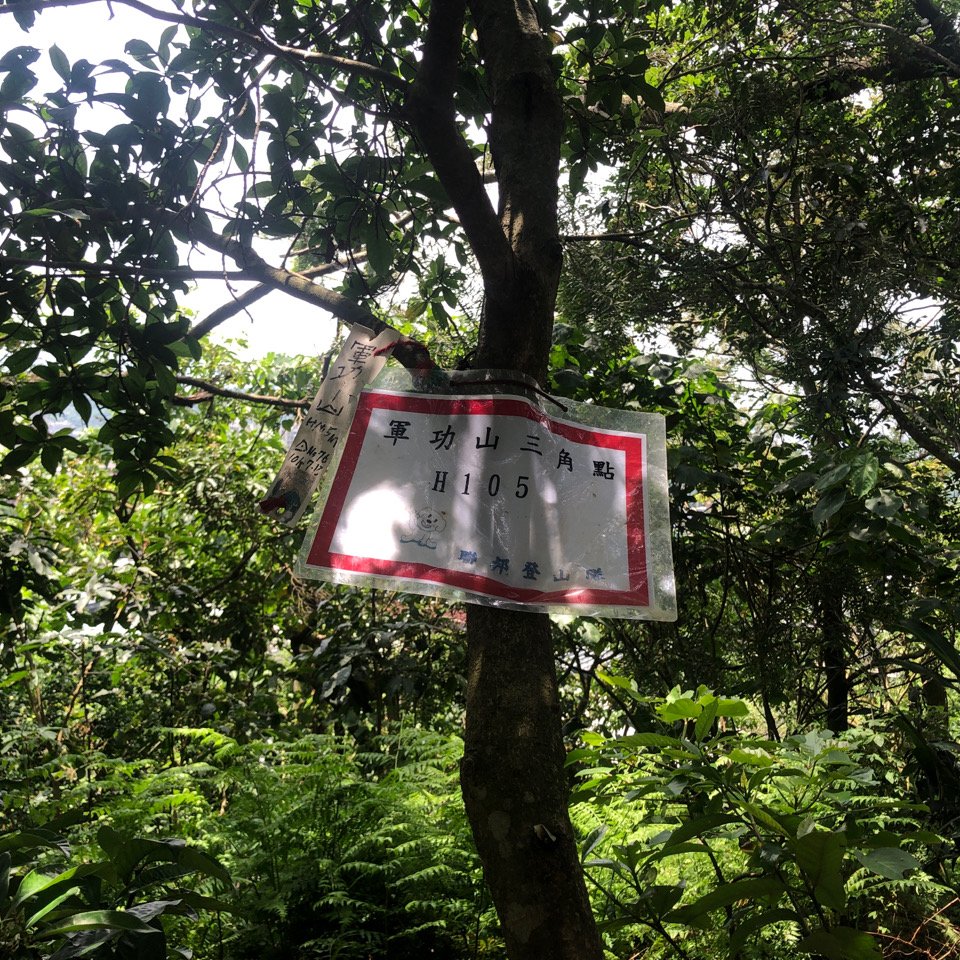 2025臺北大縱走第六段_2783508