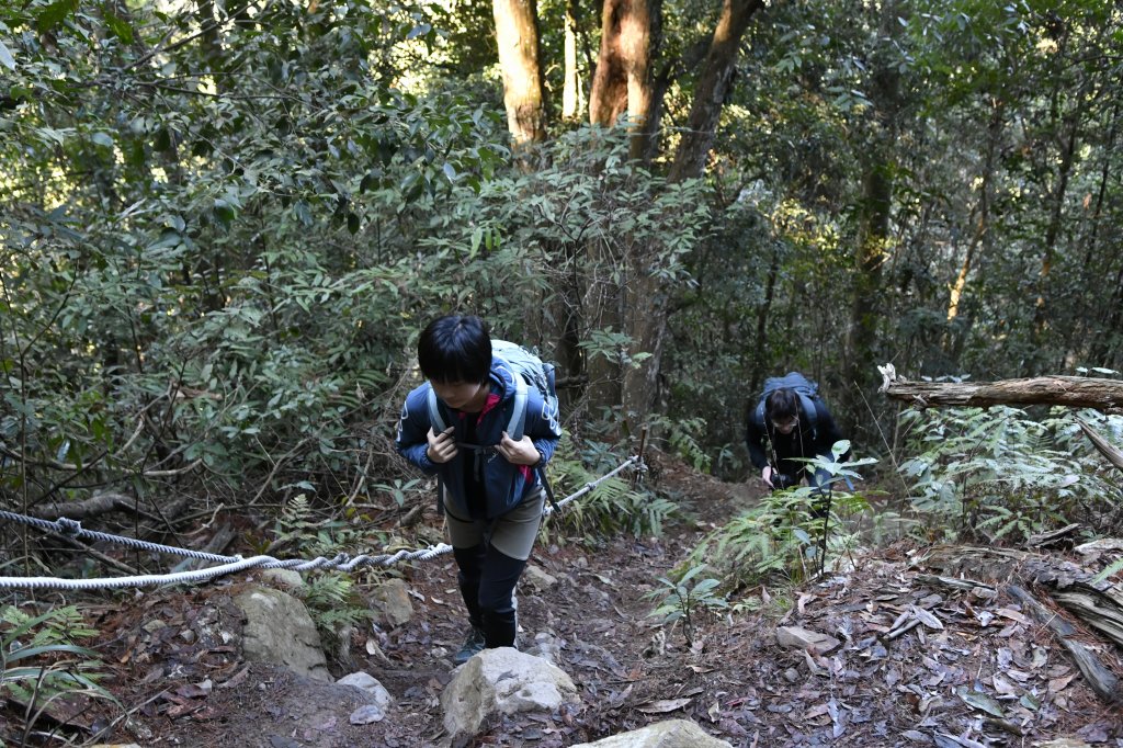 唐麻丹山。蝴蝶谷_1243085