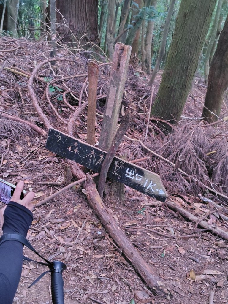 長壽山、肥崠山、醜崠山、大崠山、大崠山經建版_2931526