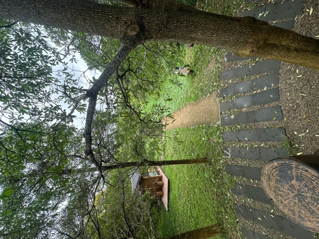 新竹香山-青青草原_2615030