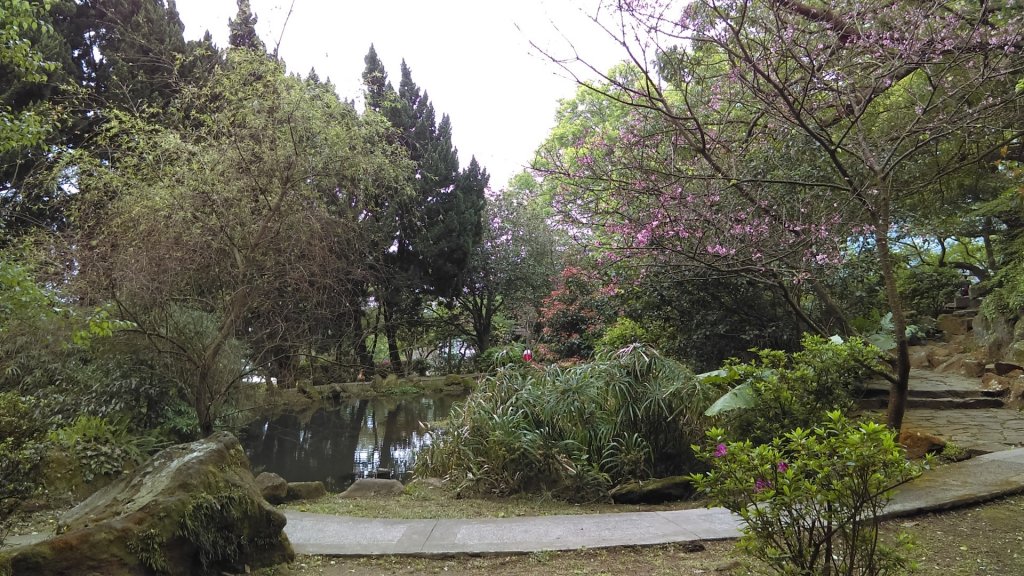 花團錦簇的陽明公園、海芋似雪的竹子湖_889659