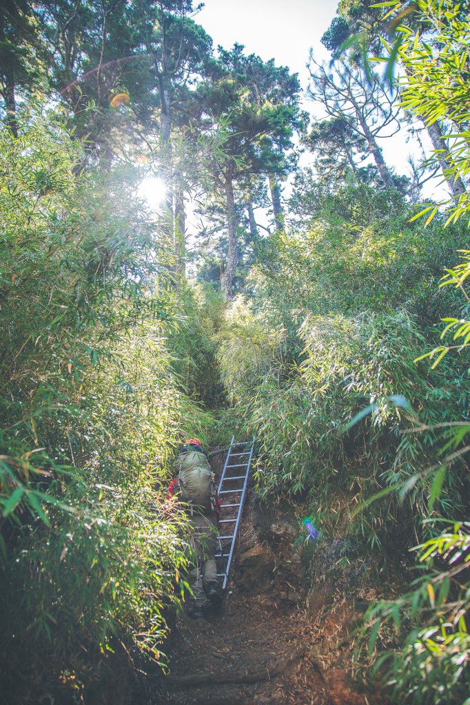 20200904~6-[南投] 奇萊主北_1633121