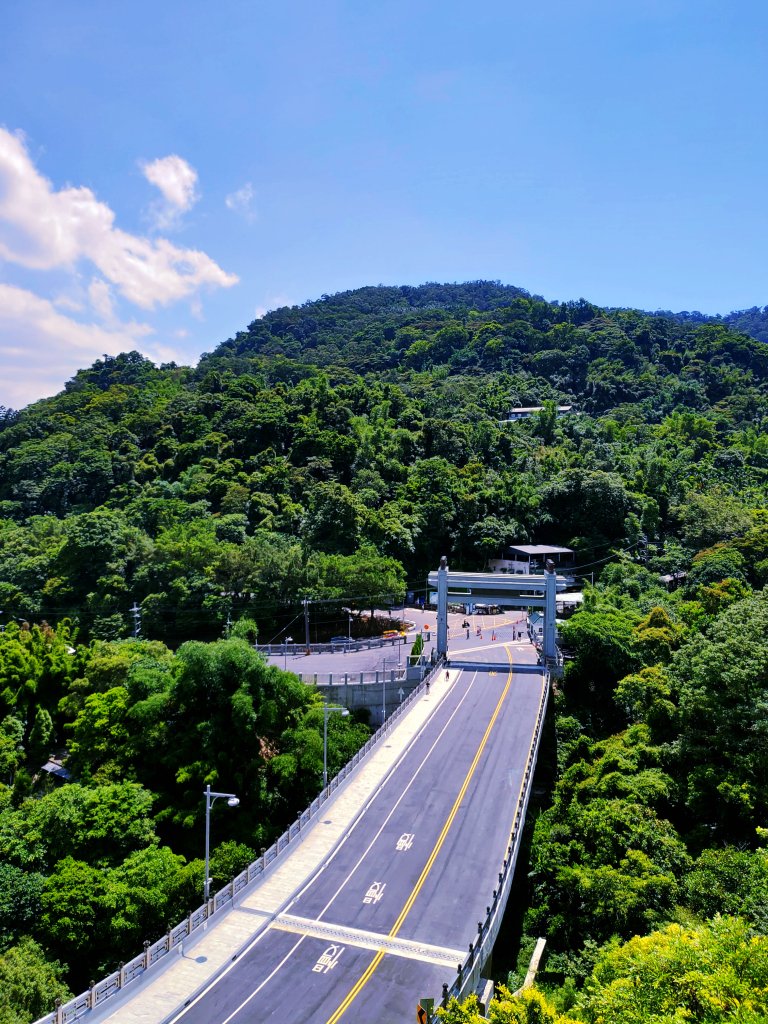 城市清涼桃花源：土城桐花公園步道_632931