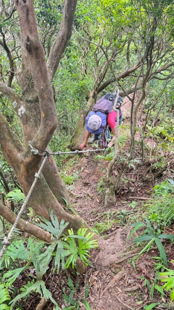 南勢坑山、鑽石峰、人面頭山、獅公髻尾山O走_2809837