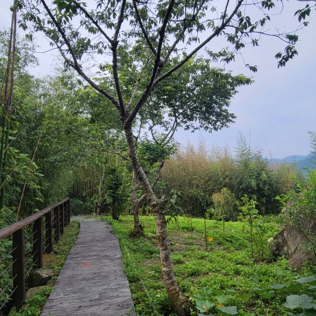 雅吾瑪斯步道_1704108
