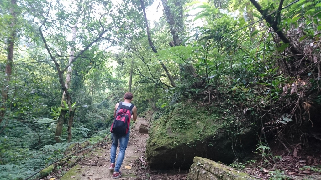 孝子山 ．慈母峰．普陀山．中央尖_52555