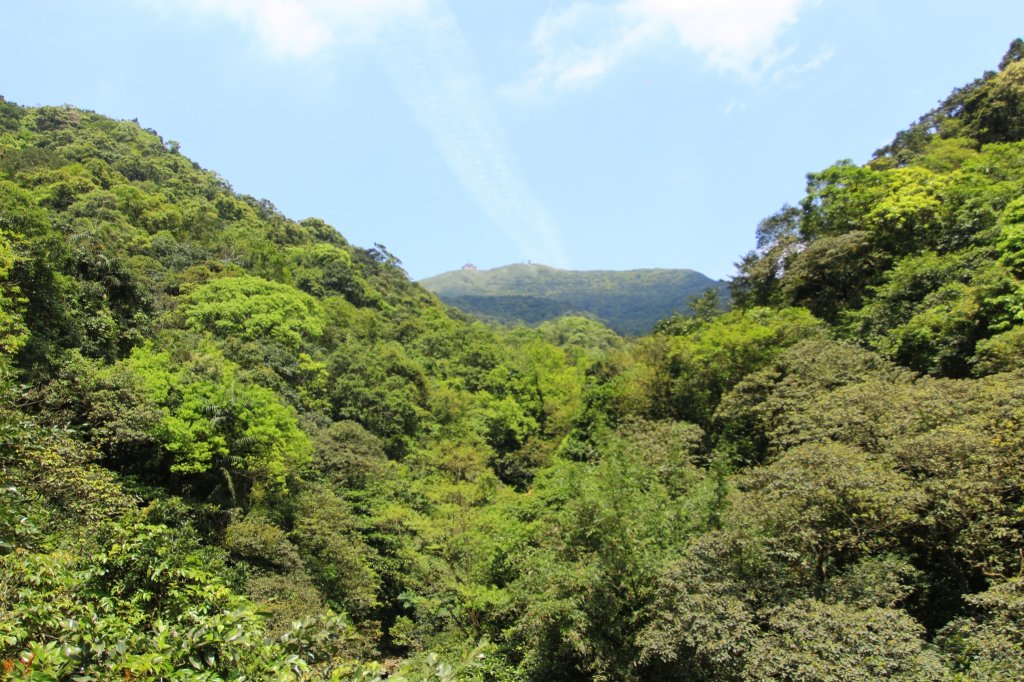 燦光寮古道O型_935210