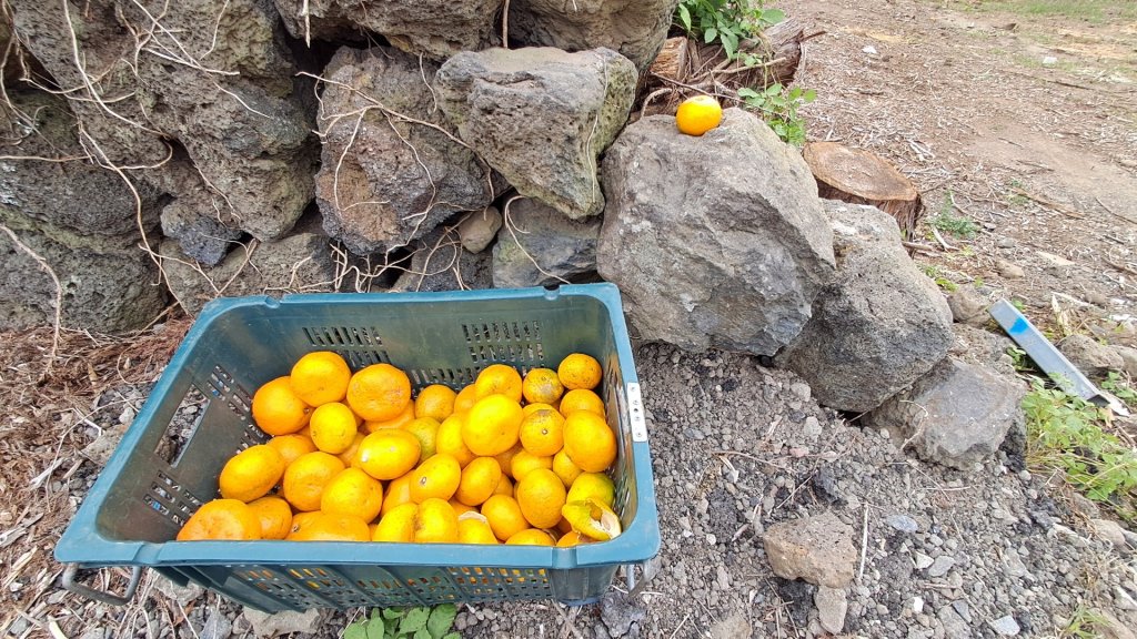 偶來小路走走_2942602