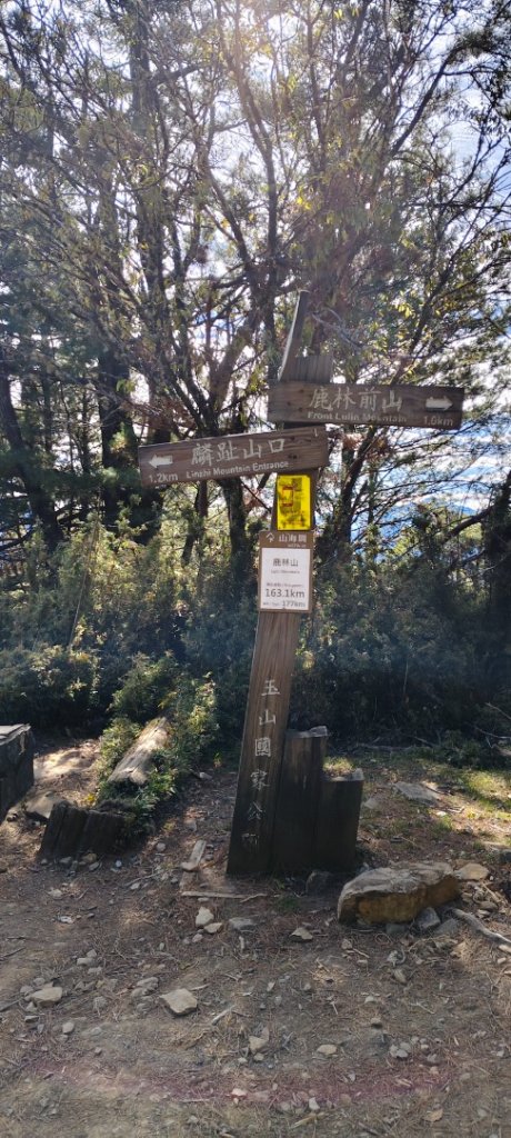 麟趾山、鹿林山、鹿林前山三山縱走(塔塔加三山)_2990361