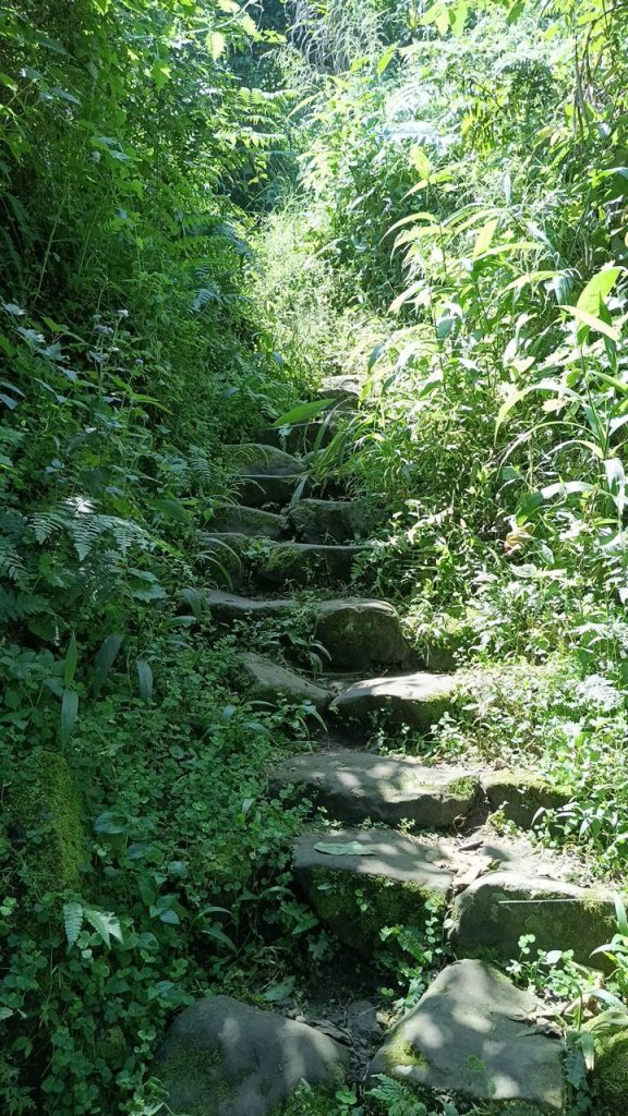 20251004 馬那邦山 - 珠湖 登山口_2904881