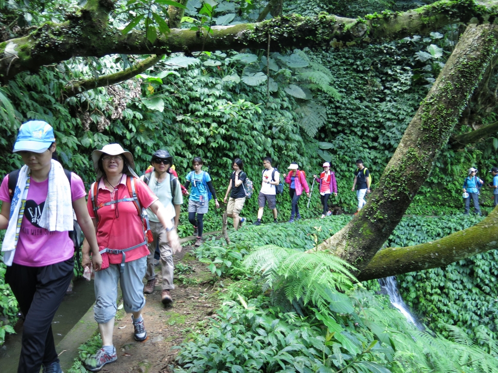 始祖鳥X健行筆記坪頂古圳半日健行活動_50807