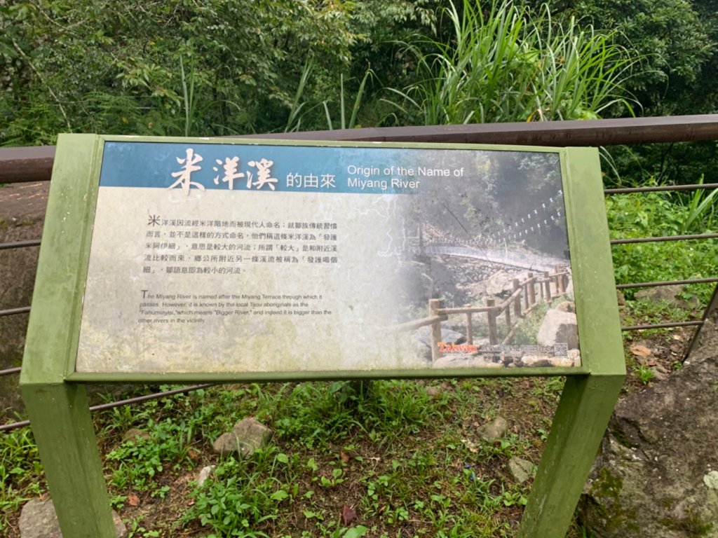 阿里山迷糊步道_1028992
