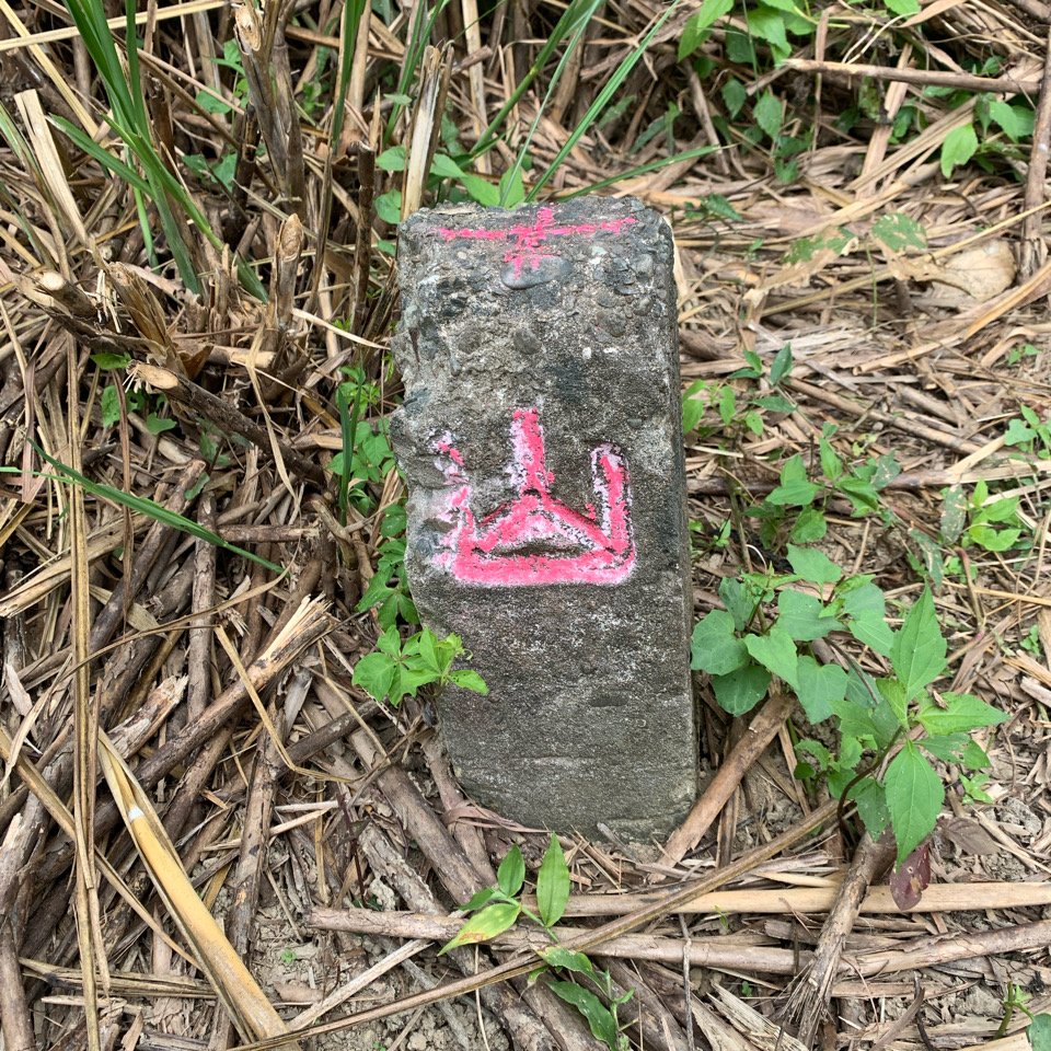 20231111台南烏山縱走_2354204