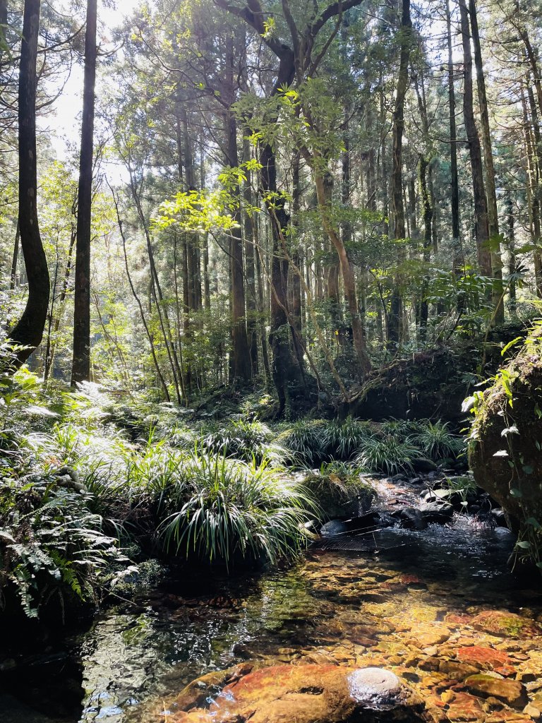 2020/03/12 那結山＆貴妃山 O形縱走_1650300