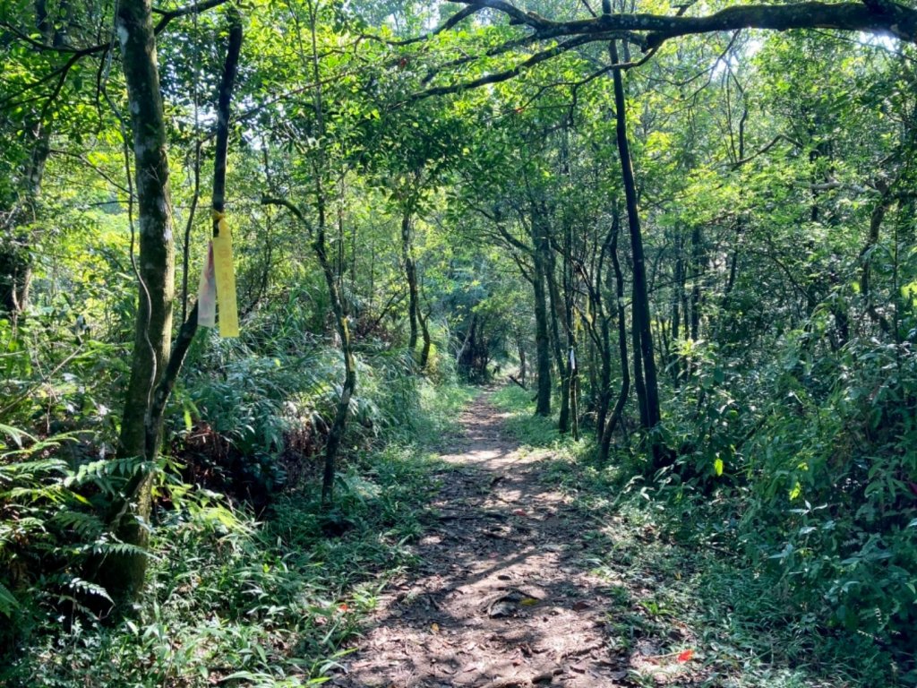 淡蘭古道中路（柑腳-外澳）_1466495