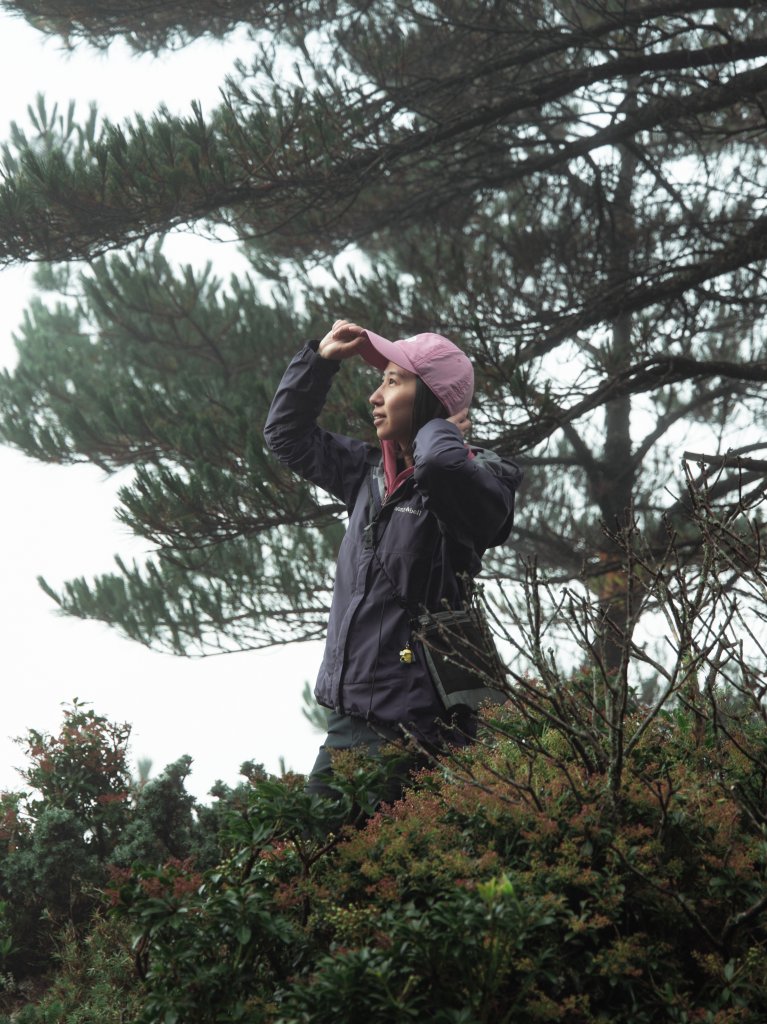 |百岳|嘉明湖_1140600