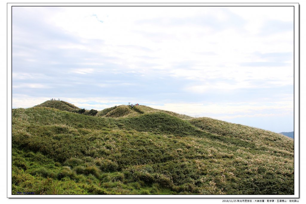 大嶺古道、五酒桶山縱走灣坑頭山_469539