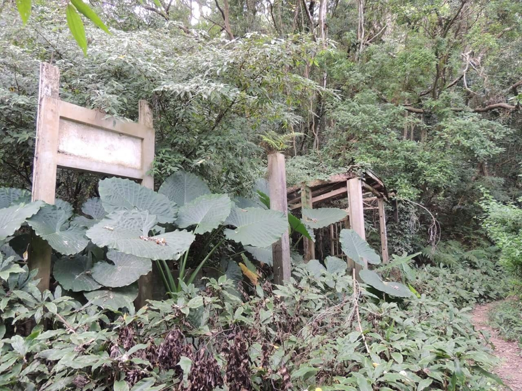 苗栗獅潭鳴鳳古道封面圖