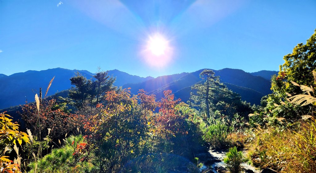 【中級山縱走】羅馬縱走，走進神木的夢幻童話森林世界_2943172