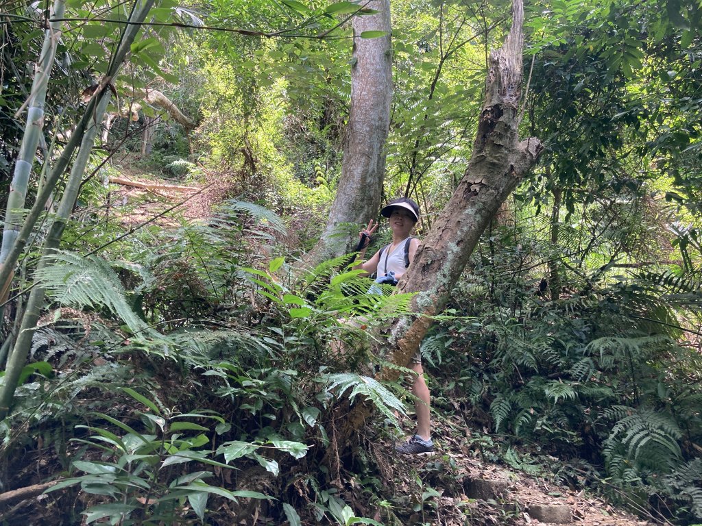 打牛崎古道_2563995