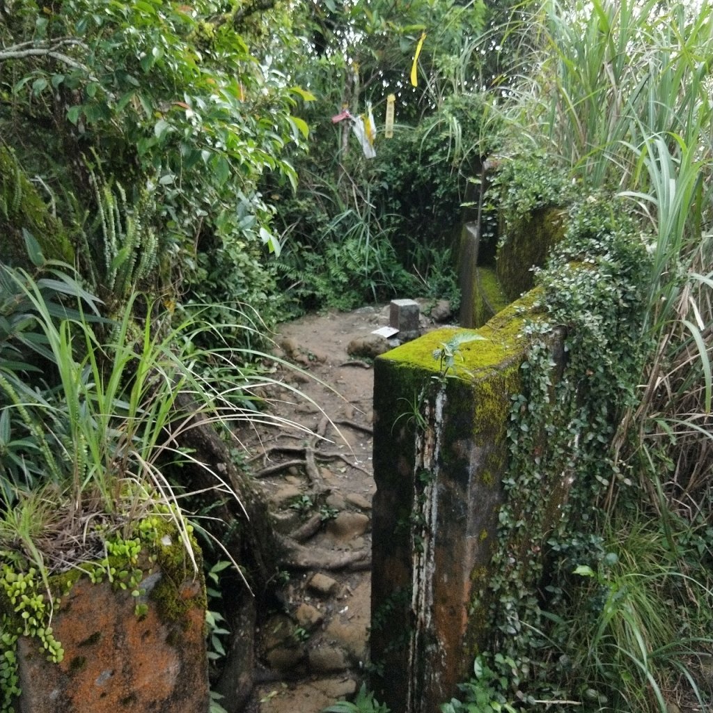 二格山登山步道(栳寮線)_1703477