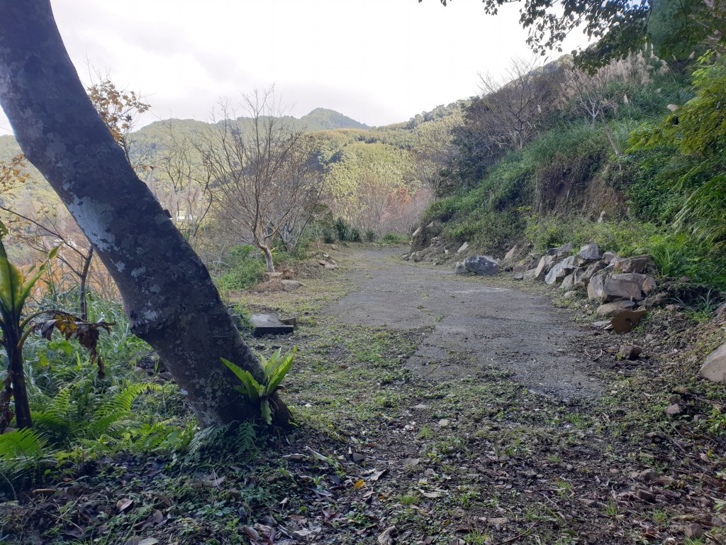 20221218金牌縱走_1995525