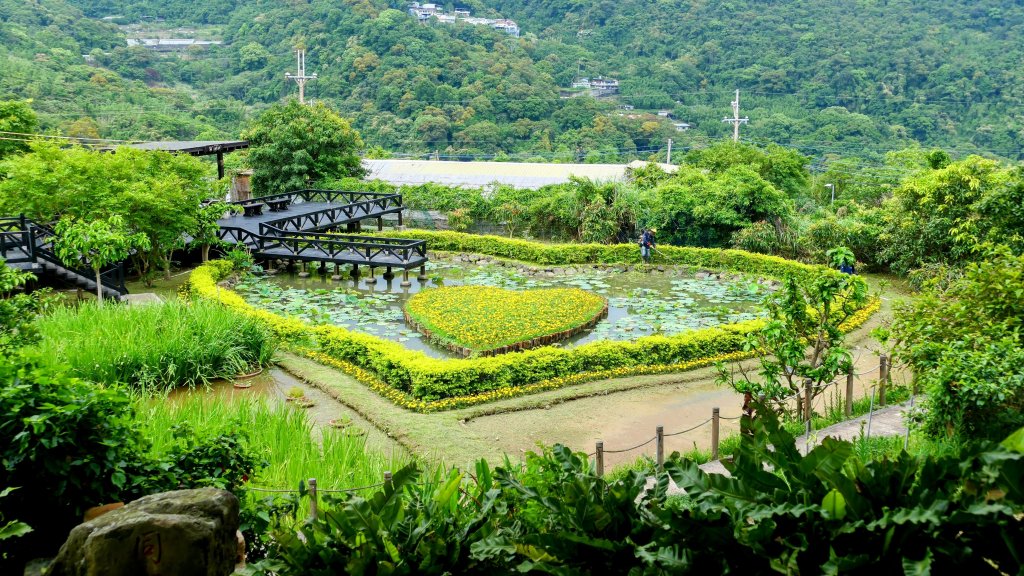 白石湖沒有百合花。晶片關稅_2781591