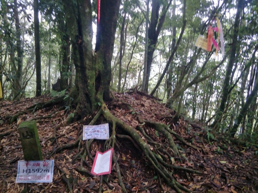 羊頭崙山&水桶寮山_1453006