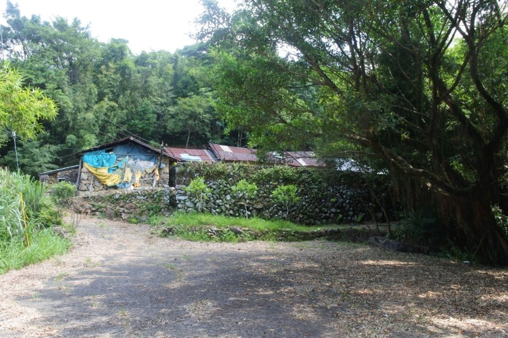 20240901三分仔古道-楊廷理古道_2585555