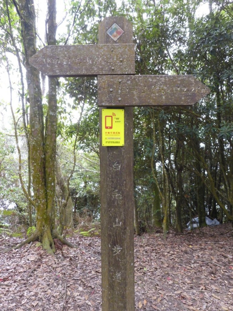 110.09.04白毛山_1452311