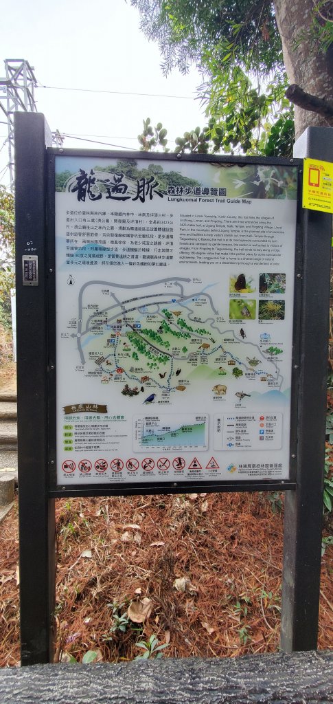 2023-02-25龍過脈森林步道_2042273