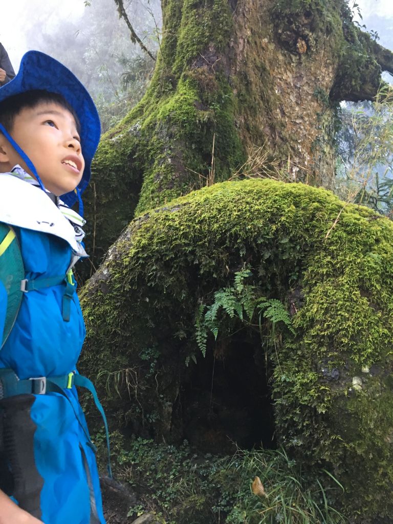 北一段 南湖前四峰_377459