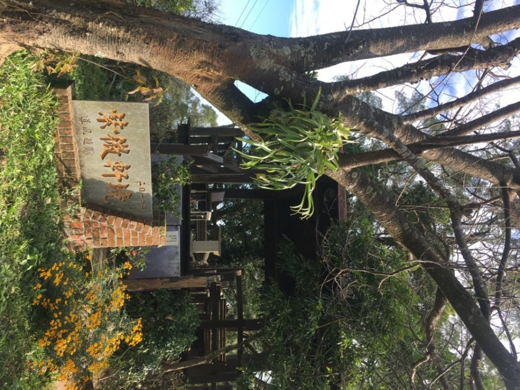 六寮崙山、雞罩山、白雞山8字走_2371059