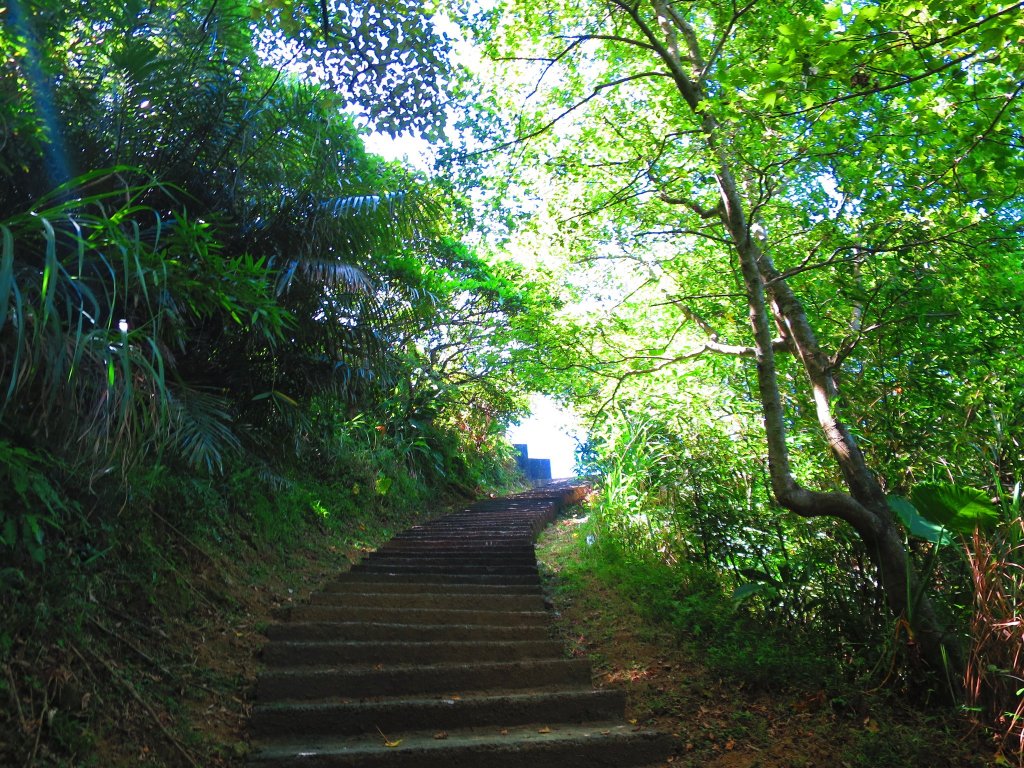 【基隆】CP值最高的觀海步道-槓子寮山步道、槓子寮砲台_1801835