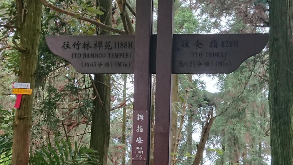 五指山之龜_915845